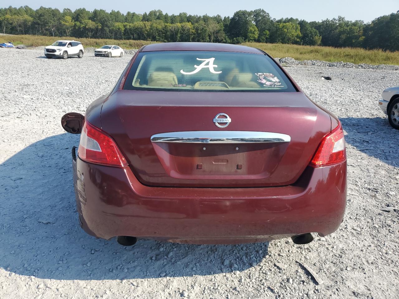 2009 Nissan Maxima S VIN: 1N4AA51E49C848277 Lot: 71651675