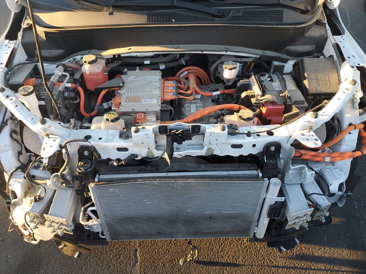 2023 Chevrolet Bolt Euv Lt VIN: 1G1FY6S02P4112507 Lot: 81050565