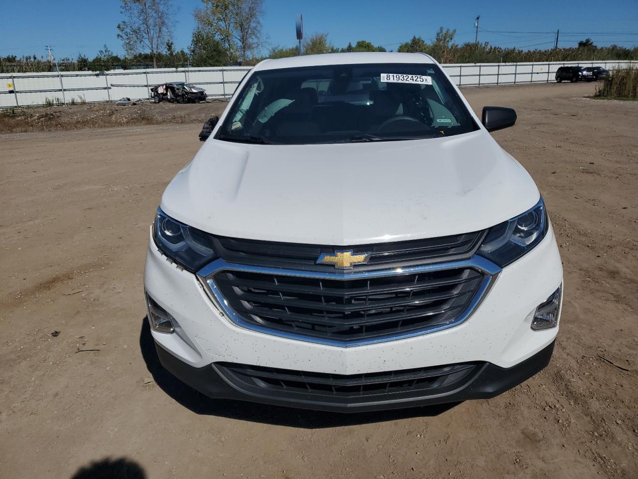 2020 Chevrolet Equinox Ls VIN: 2GNAXHEV1L6124896 Lot: 81932425