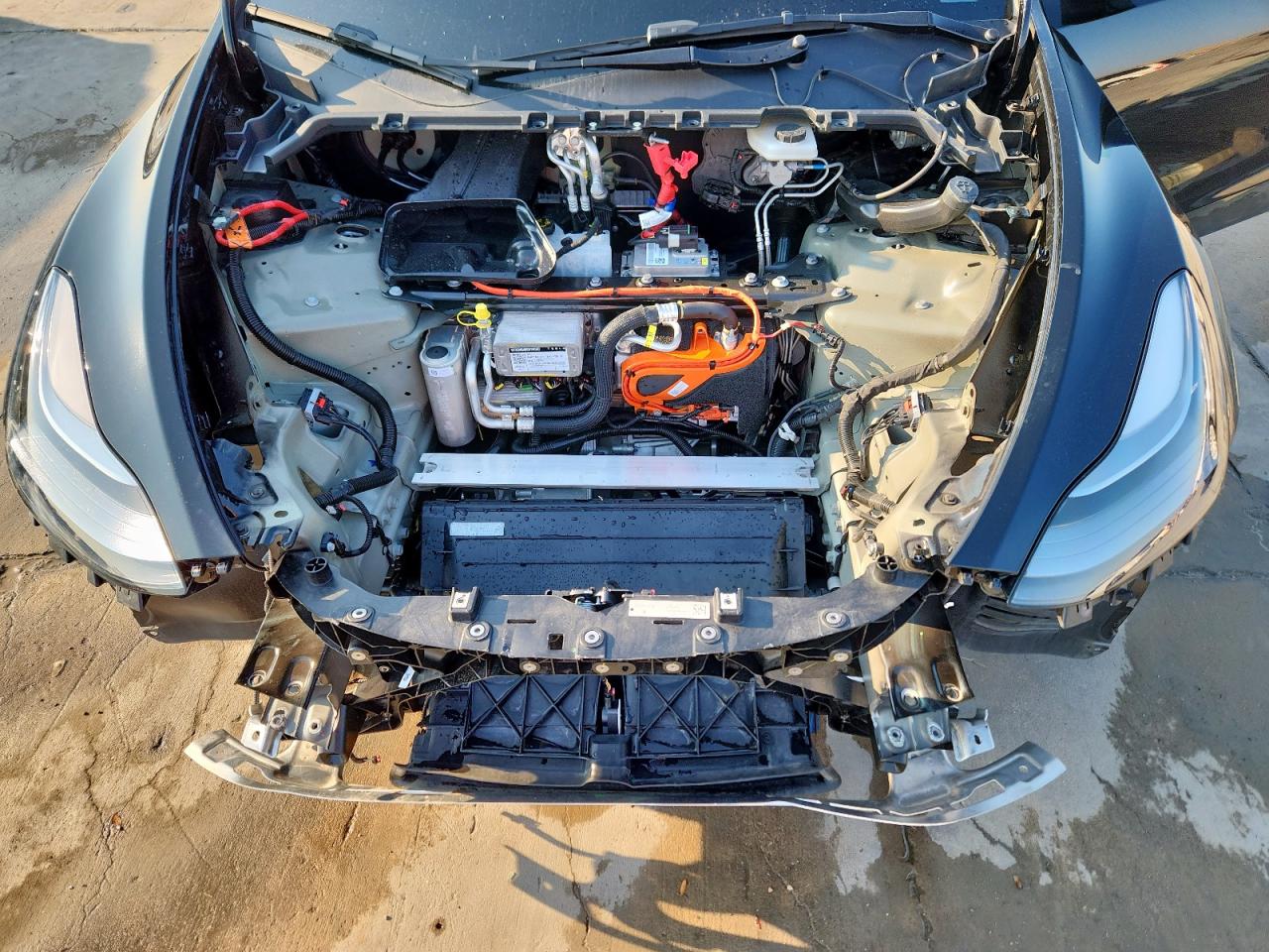 2024 Tesla Model Y VIN: 7SAYGDEE4RA236871 Lot: 81032955