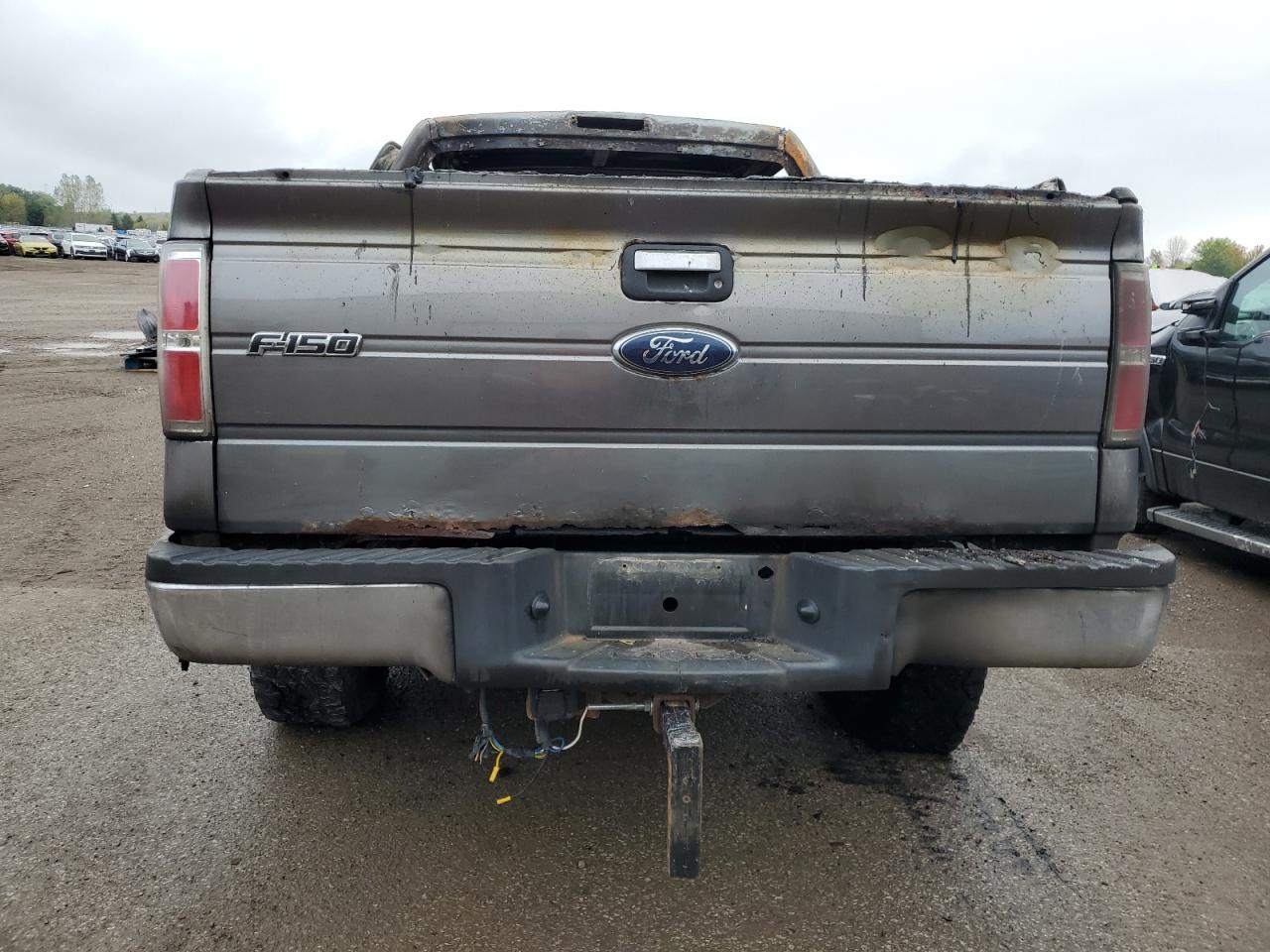 2009 Ford F150 Supercrew VIN: 1FTRW14849FA30902 Lot: 83797795