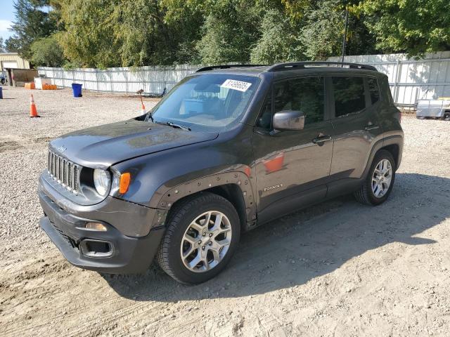  JEEP RENEGADE 2017 Серый