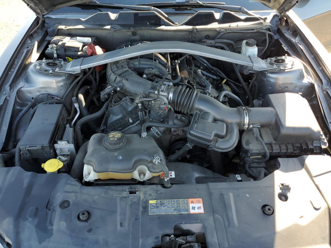 2013 Ford Mustang VIN: 1ZVBP8AM4D5227069 Lot: 81682845