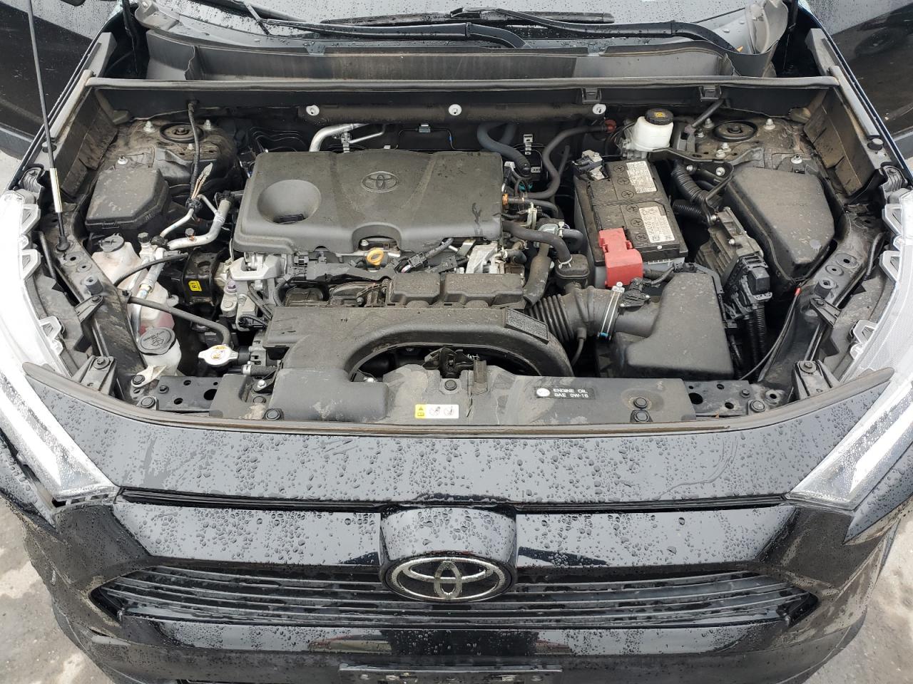 2021 Toyota Rav4 Xle Premium VIN: 2T3A1RFVXMC223139 Lot: 80112865