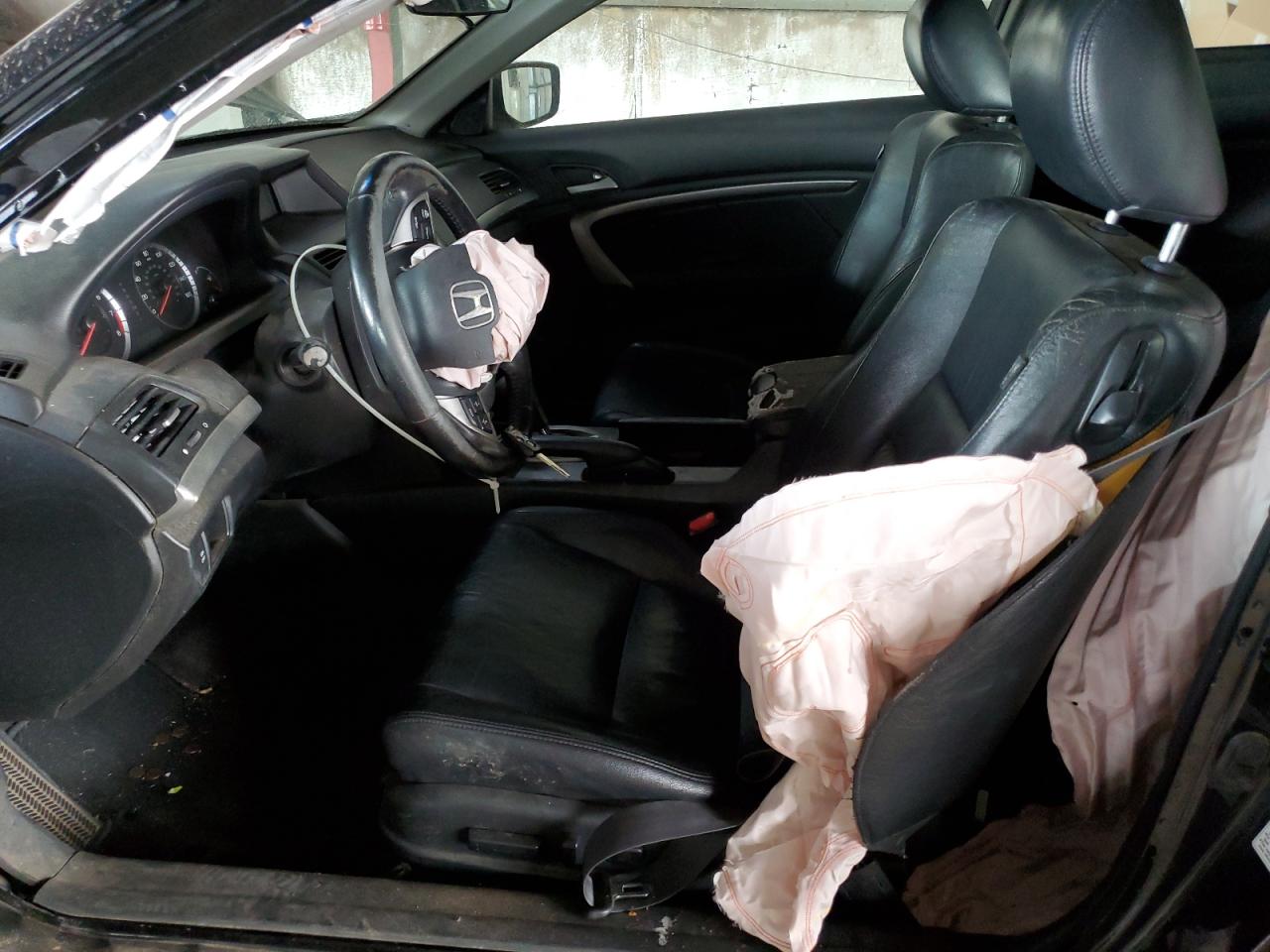 2009 Honda Accord Exl VIN: 1HGCS12879A022022 Lot: 81159895