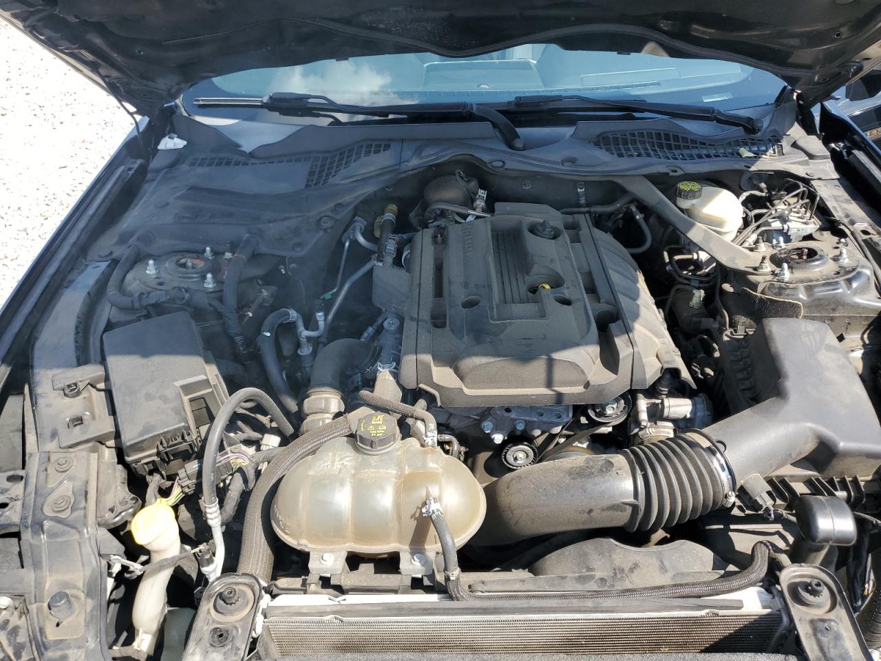 2017 Ford Mustang VIN: 1FATP8UH6H5229472 Lot: 80624525