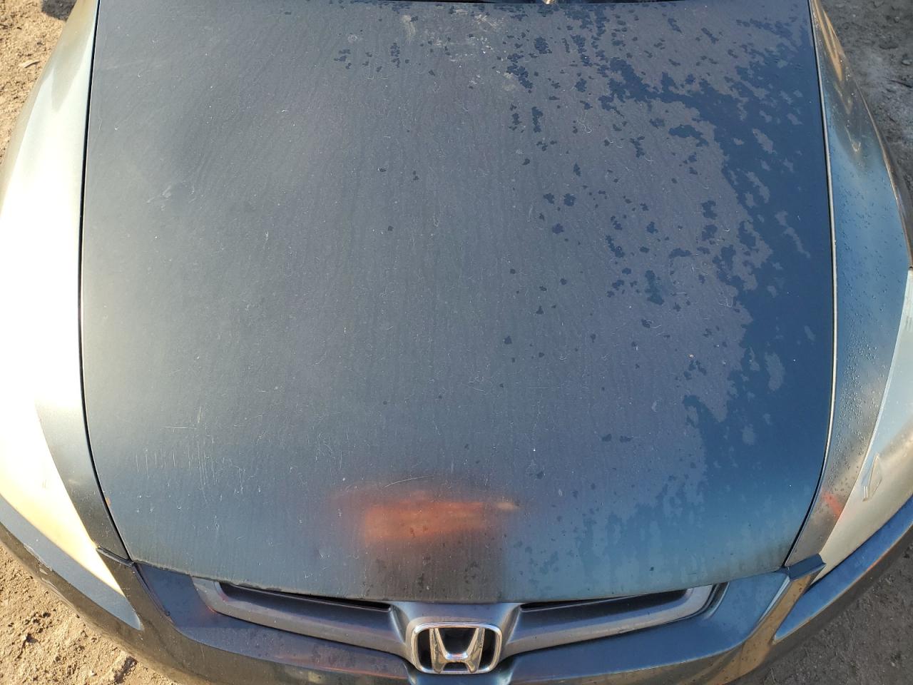 2005 Honda Accord Ex VIN: 1HGCM568X5A053416 Lot: 81863885