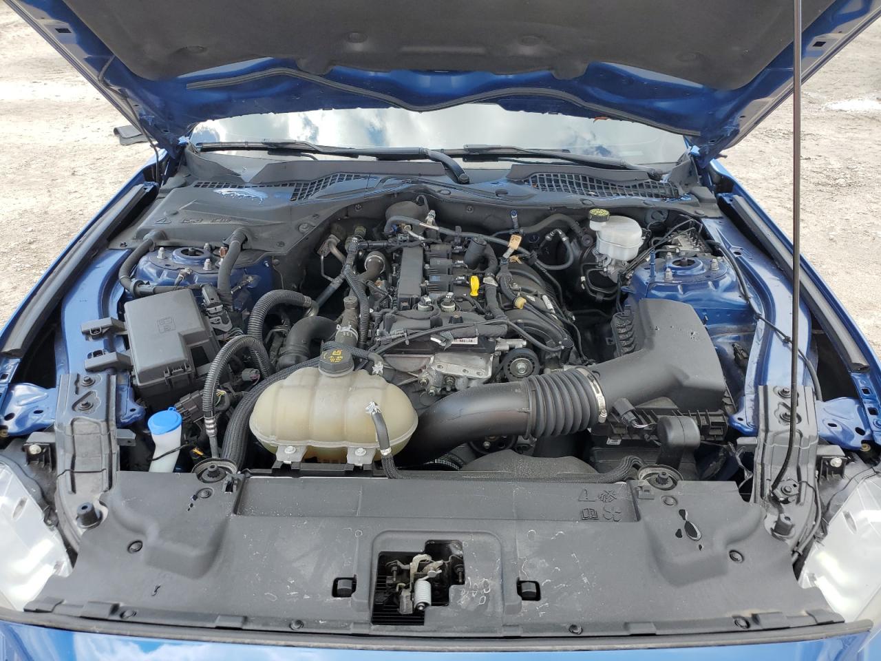 2022 Ford Mustang VIN: 1FA6P8TH1N5121688 Lot: 80081025