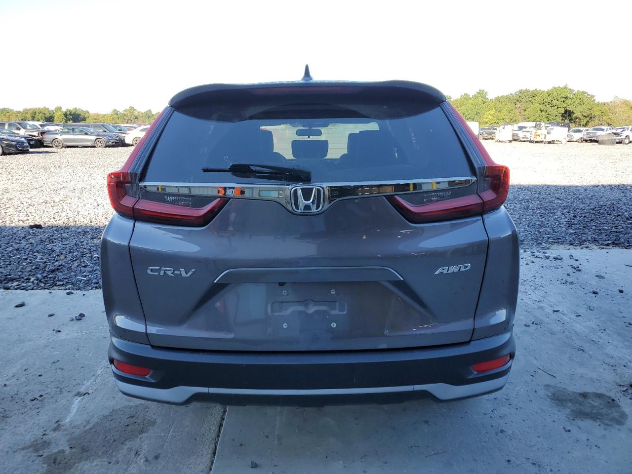 2022 Honda Cr-V Ex VIN: 7FARW2H55NE008903 Lot: 81596085