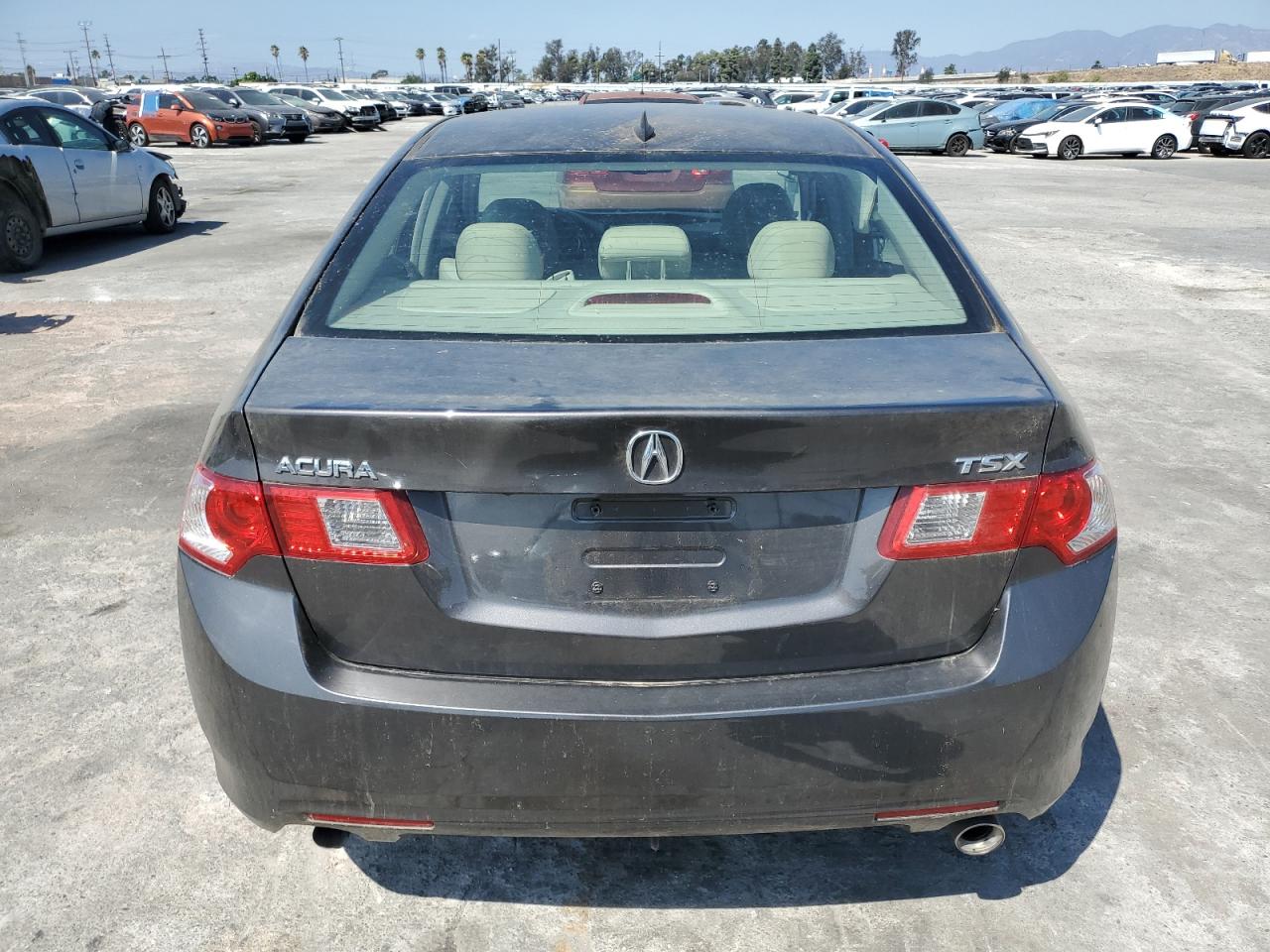 2010 Acura Tsx VIN: JH4CU2F65AC010188 Lot: 81787905