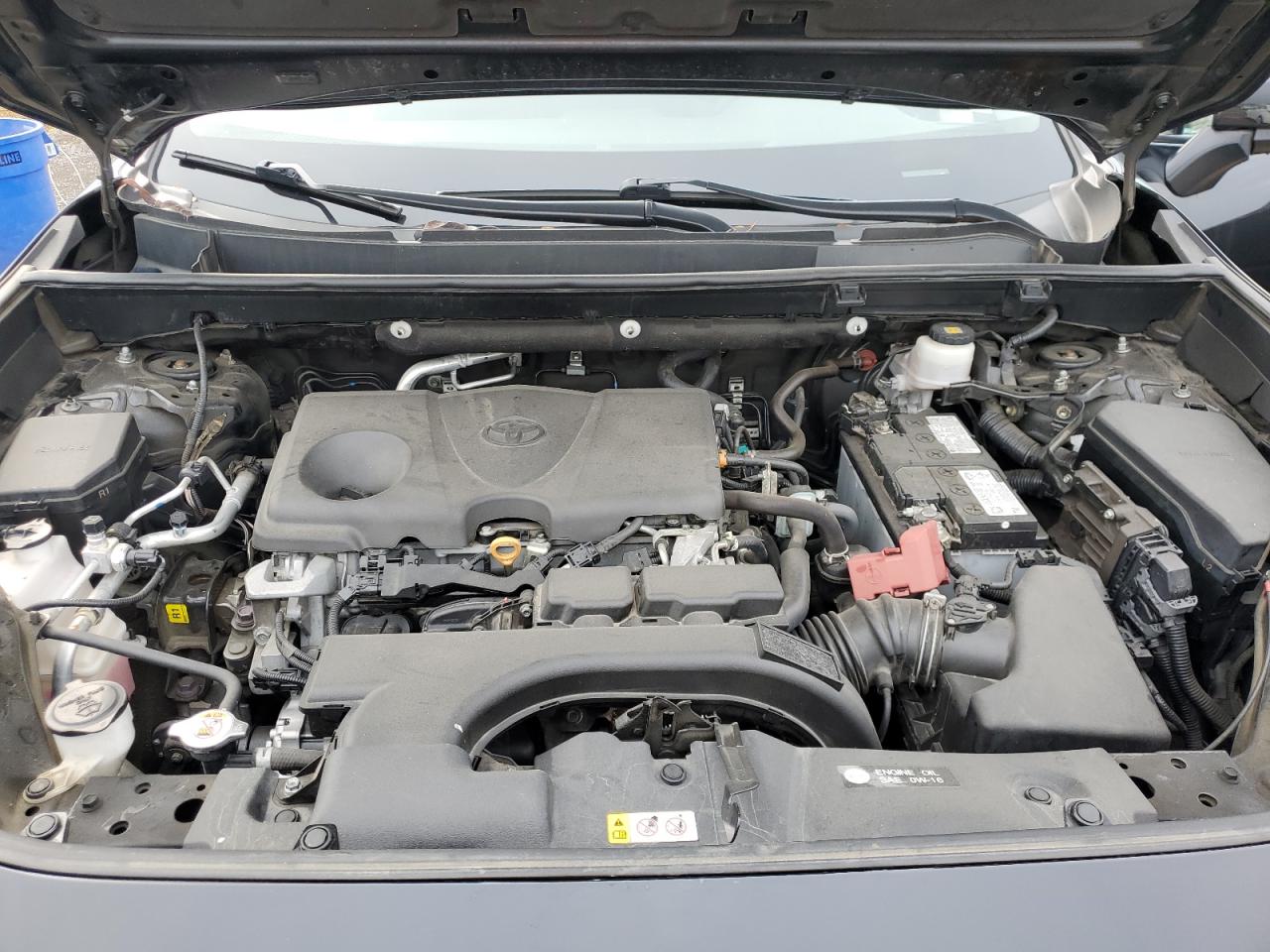 2021 Toyota Rav4 Xle VIN: 2T3R1RFV8MC145317 Lot: 81508895