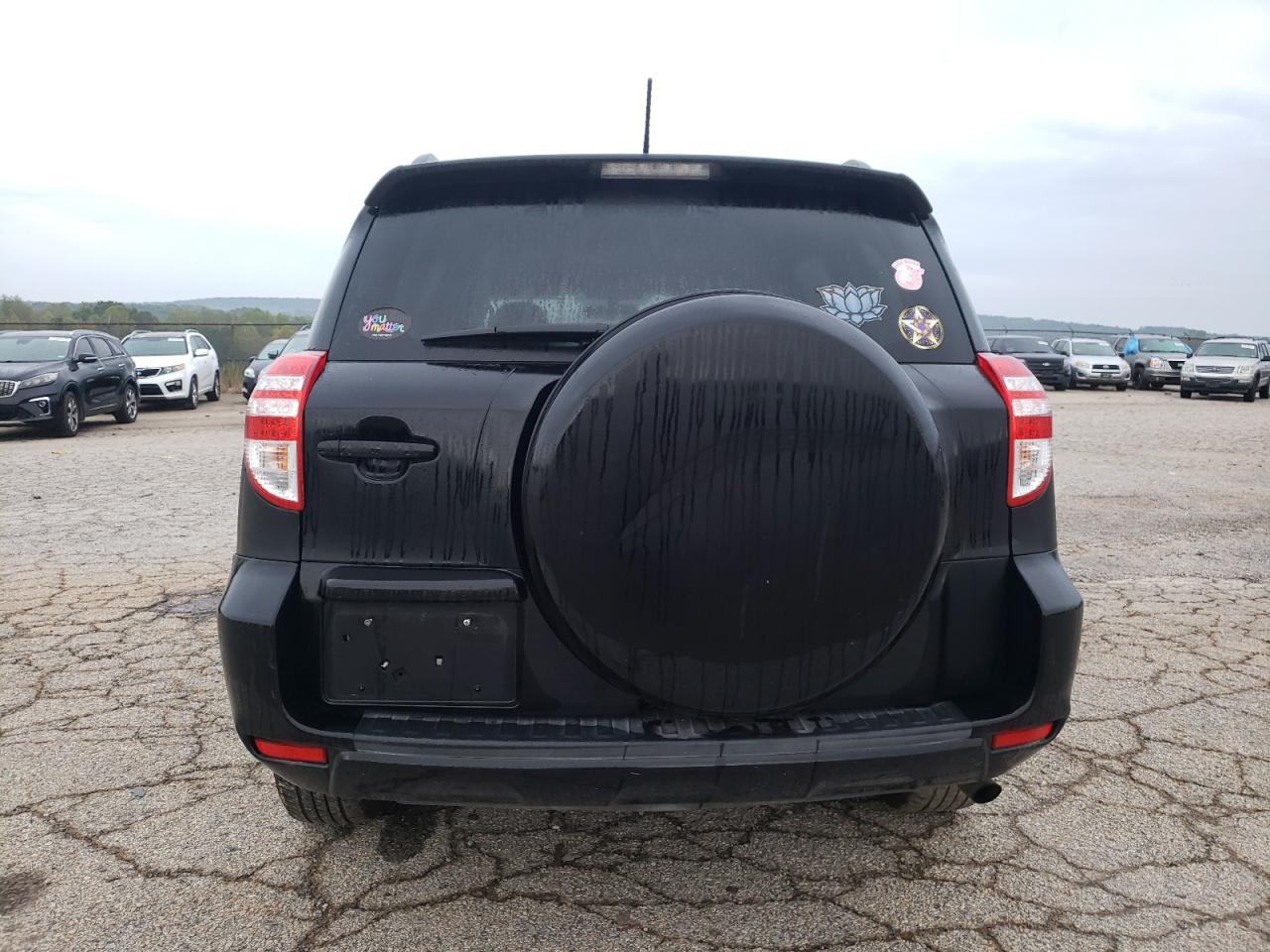 2011 Toyota Rav4 VIN: 2T3BF4DV3BW105103 Lot: 81812535