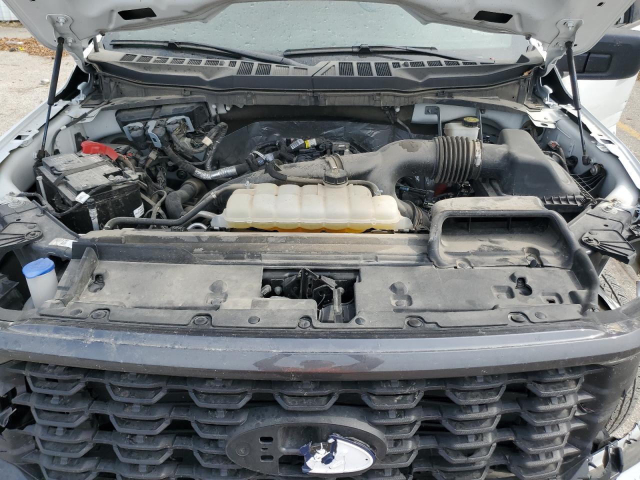 2024 Ford F150 Stx VIN: 1FTEW2LPXRKE13019 Lot: 81289065