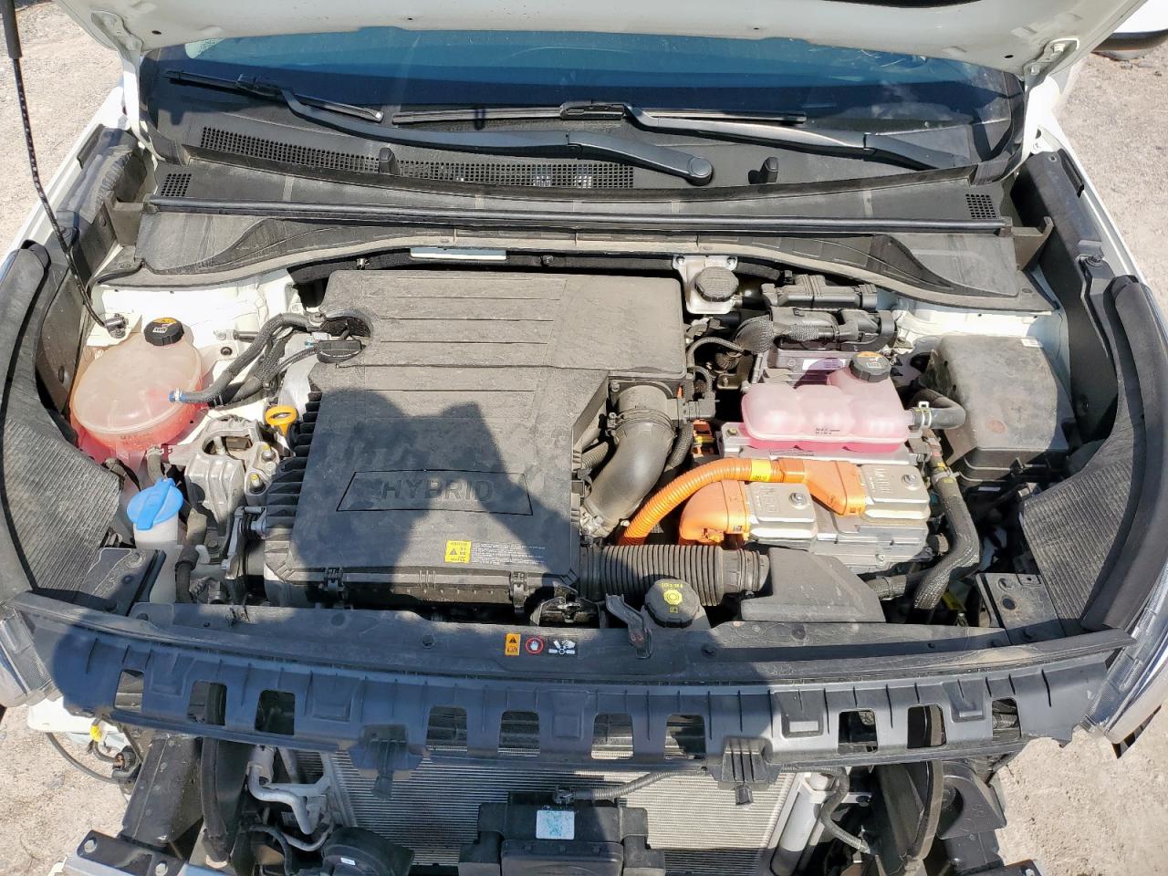 2022 Kia Niro Lx VIN: KNDCB3LC8N5534484 Lot: 71476855