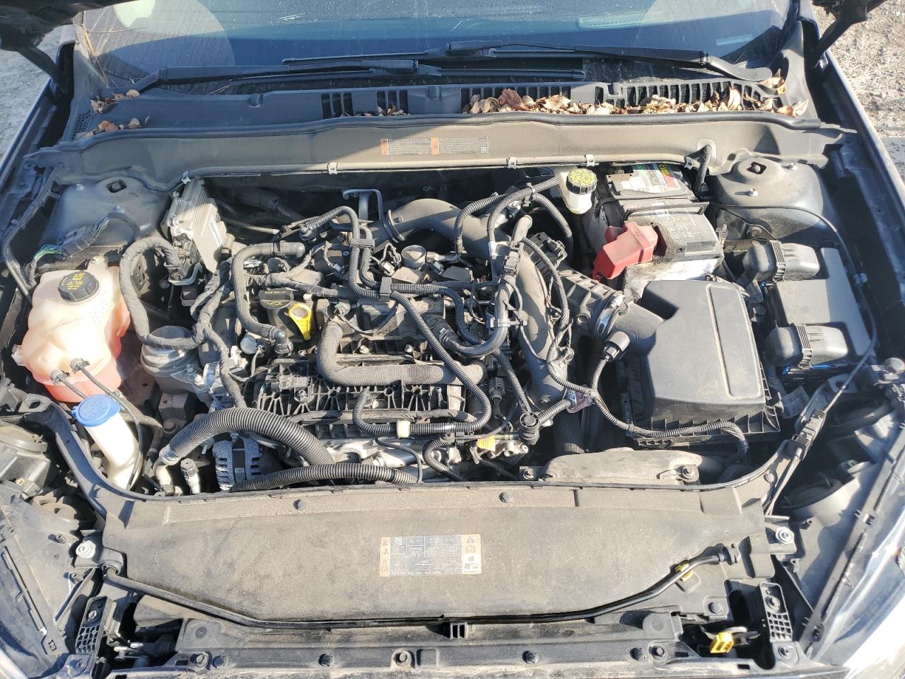 2019 Ford Fusion Se VIN: 3FA6P0HD0KR280587 Lot: 81037355