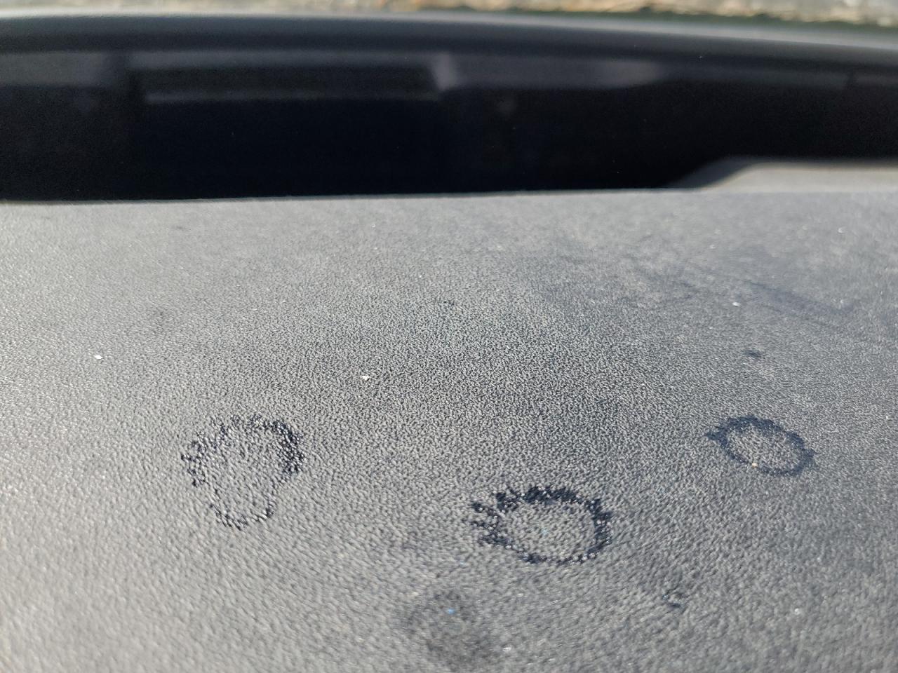 2005 Toyota Prius VIN: JTDKB22U357045169 Lot: 70925865