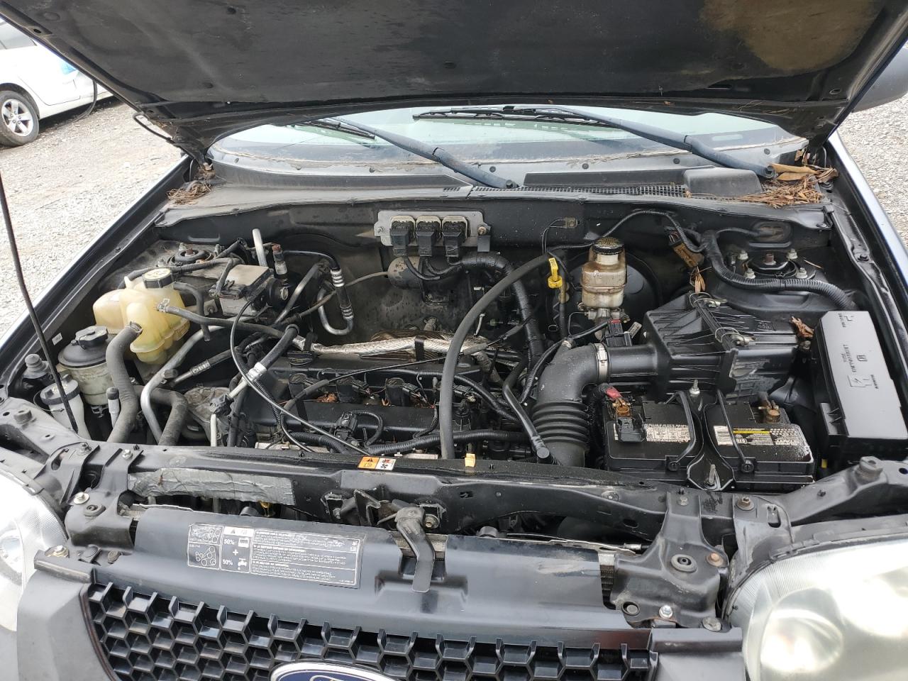 2005 Ford Escape Xls VIN: 1FMYU02Z85KB86185 Lot: 81777575