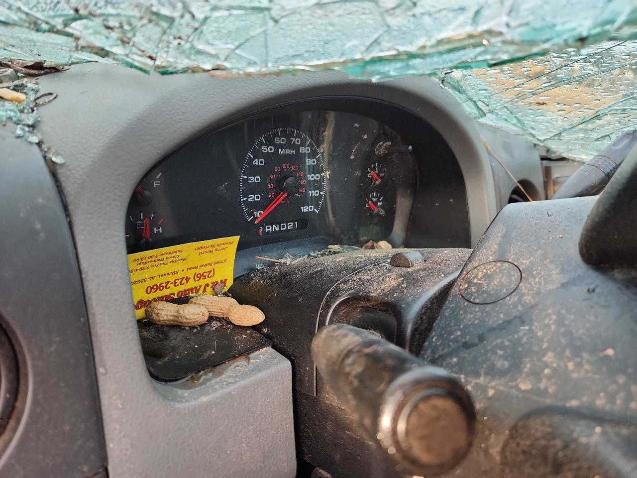 2006 Ford F150 VIN: 1FTRX12W46KD74604 Lot: 81573875