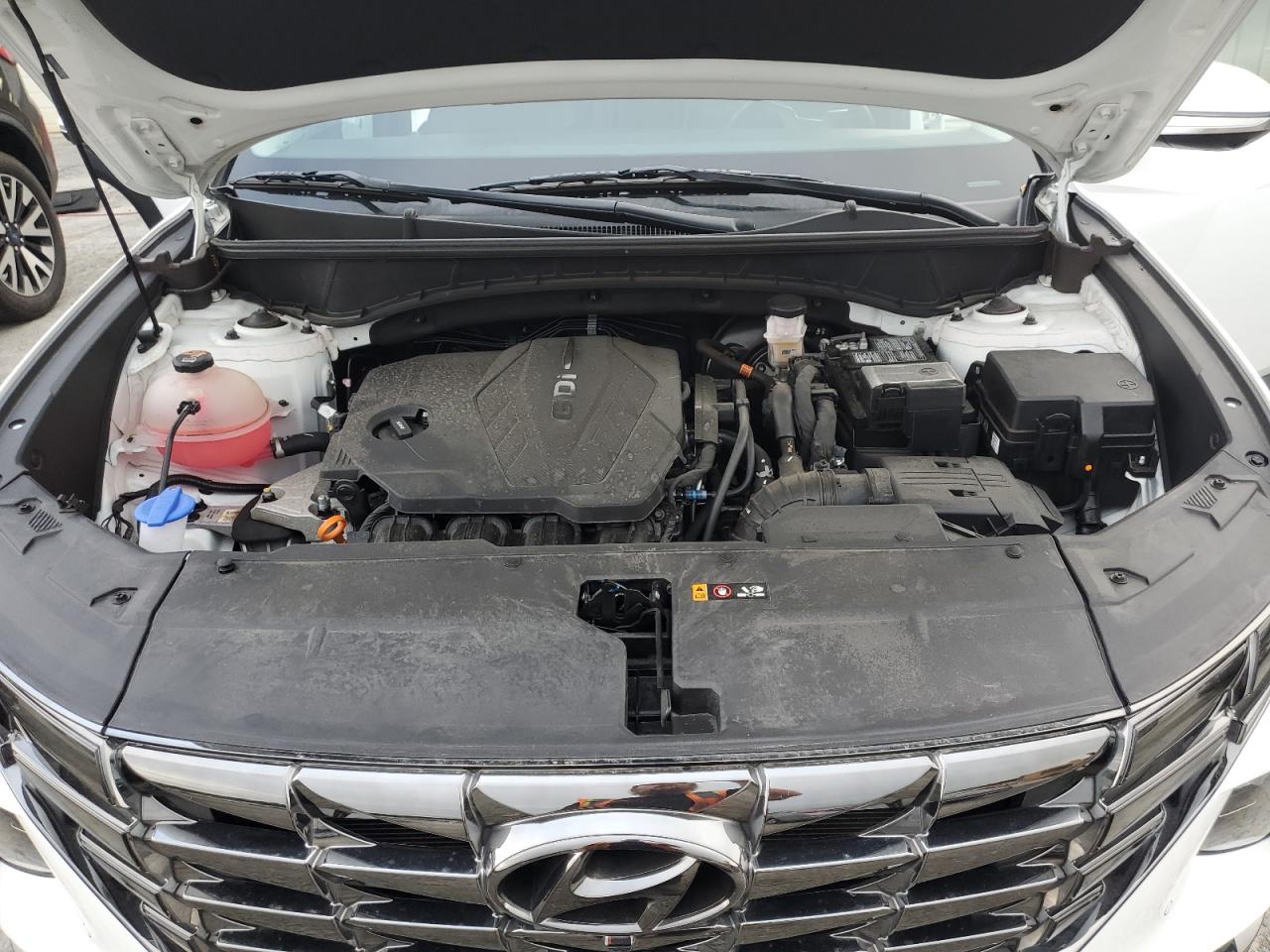 2024 Hyundai Tucson Limited VIN: 5NMJECDE4RH335403 Lot: 81049365