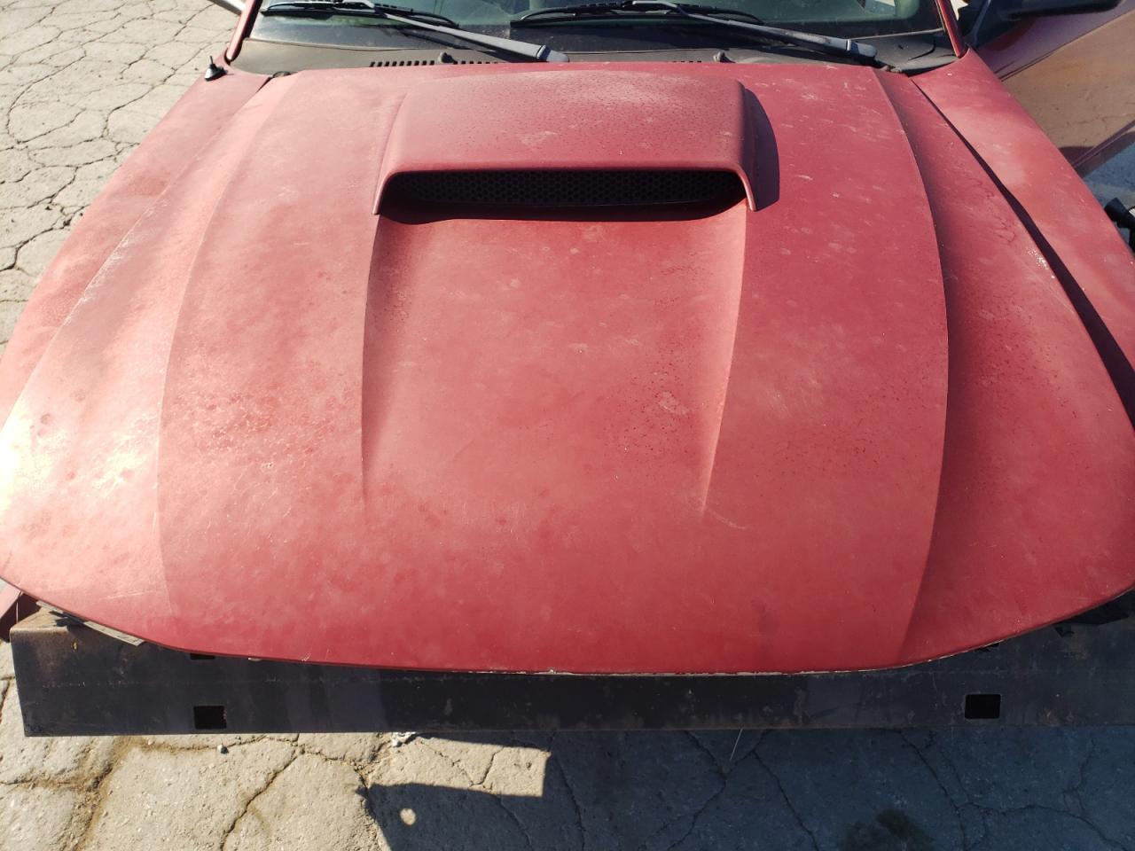 2004 Ford Mustang VIN: 1FAFP40674F205826 Lot: 81870525