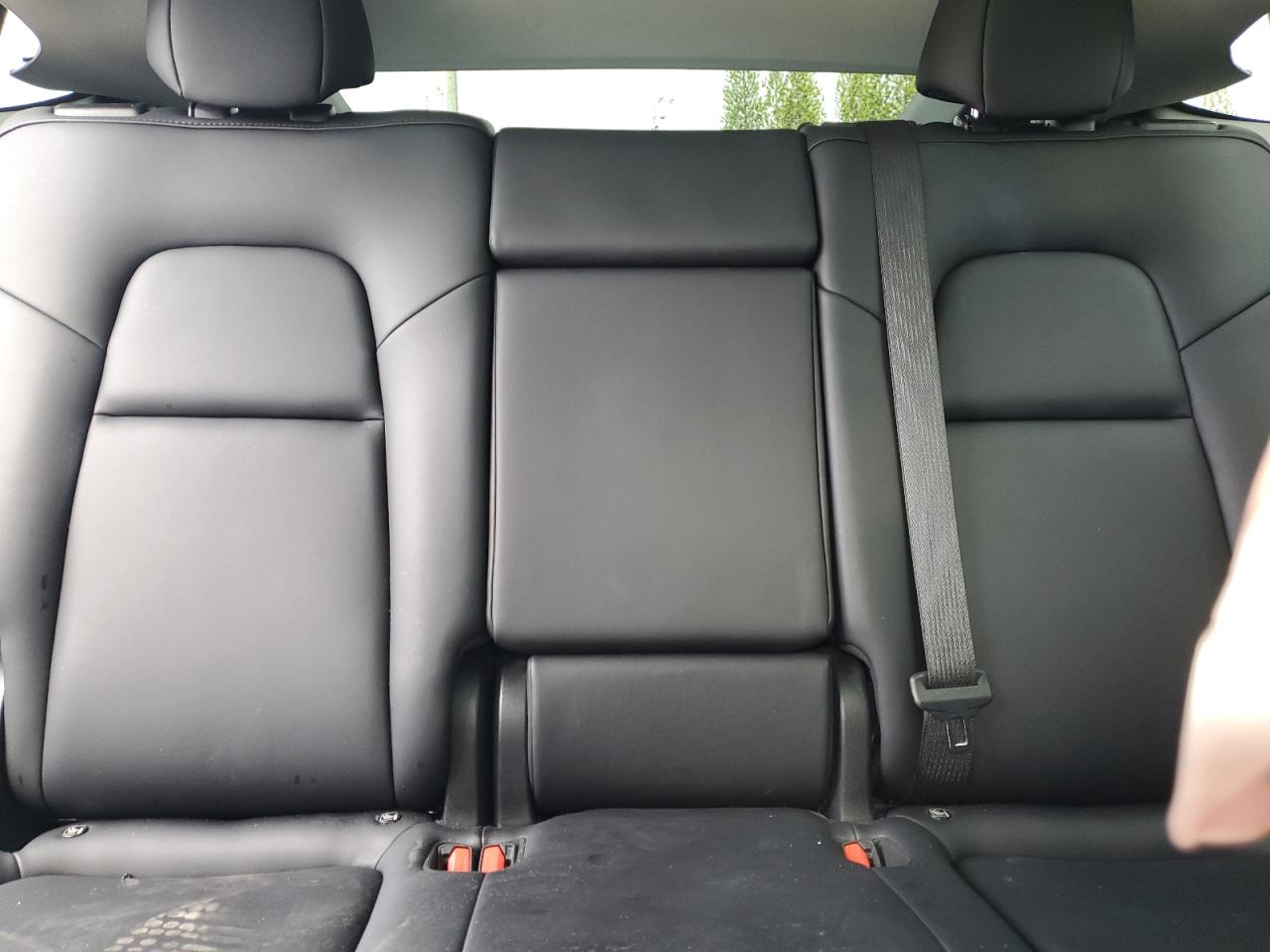 2024 Tesla Model Y VIN: 7SAYGDEDXRF049810 Lot: 71202645
