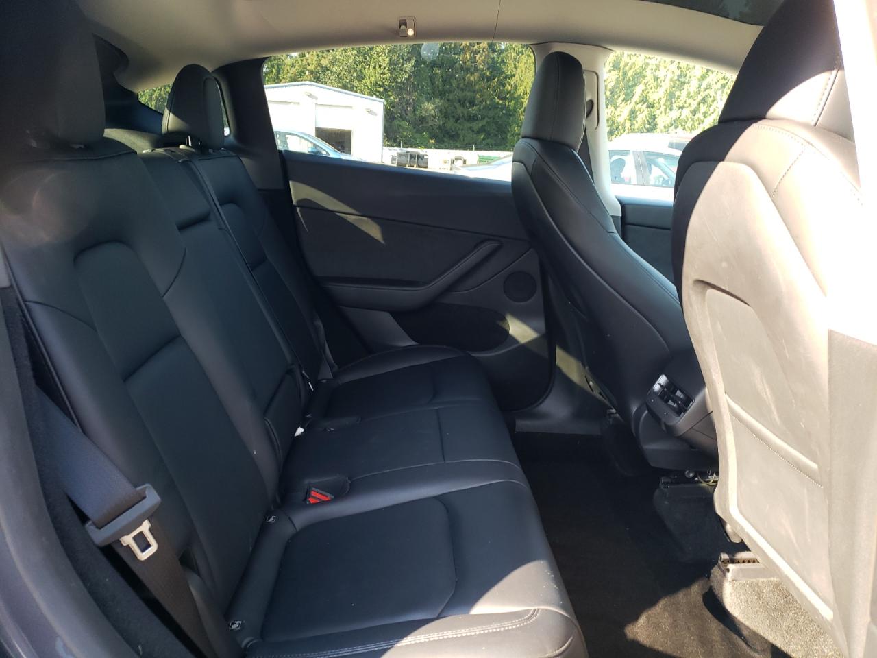 2023 Tesla Model Y VIN: 7SAYGDEE0PF805831 Lot: 80699295