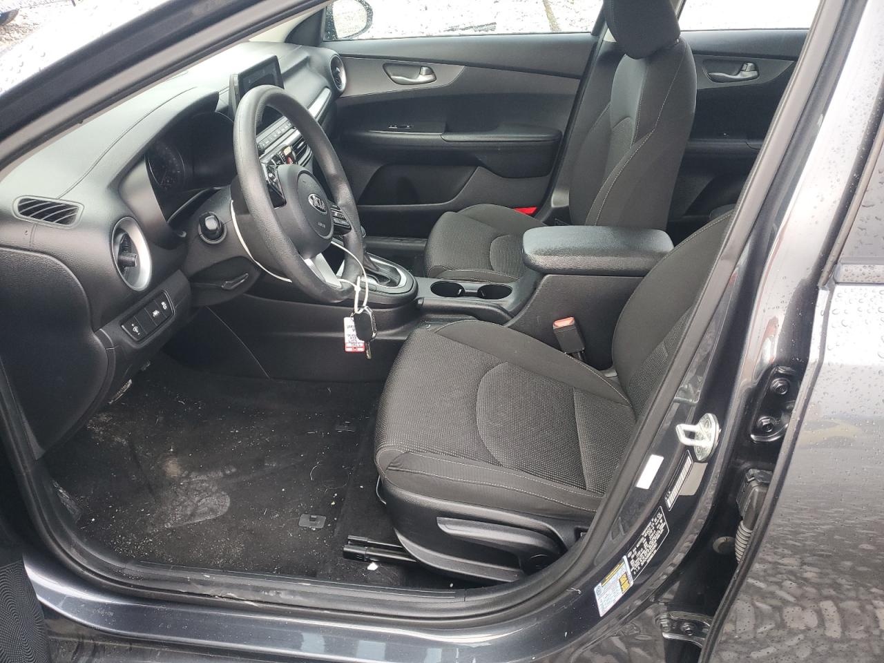 2019 Kia Forte Fe VIN: 3KPF24AD8KE029365 Lot: 81142915