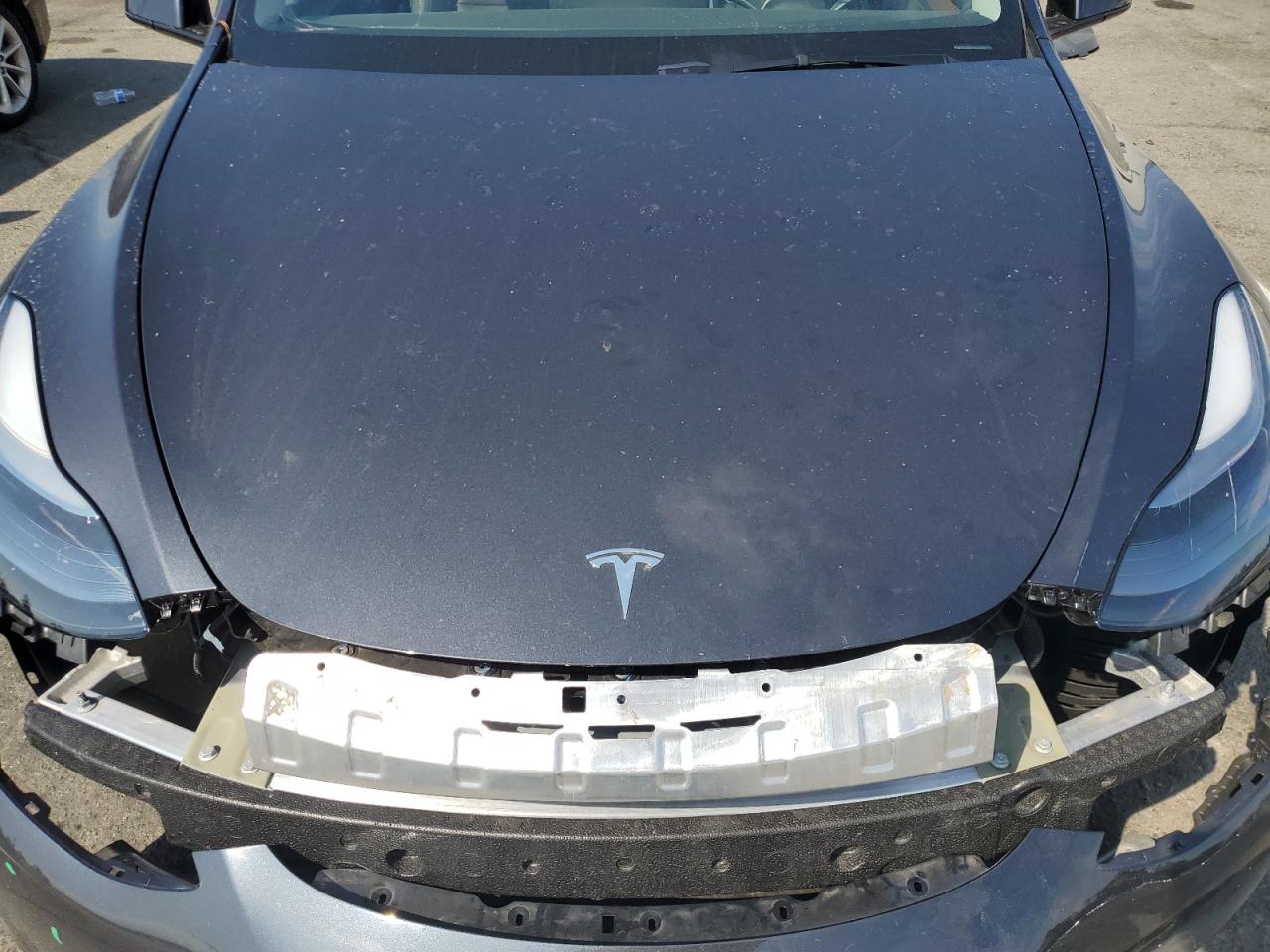 2025 Tesla Model Y VIN: 7SAYGDED1SF239968 Lot: 81671175