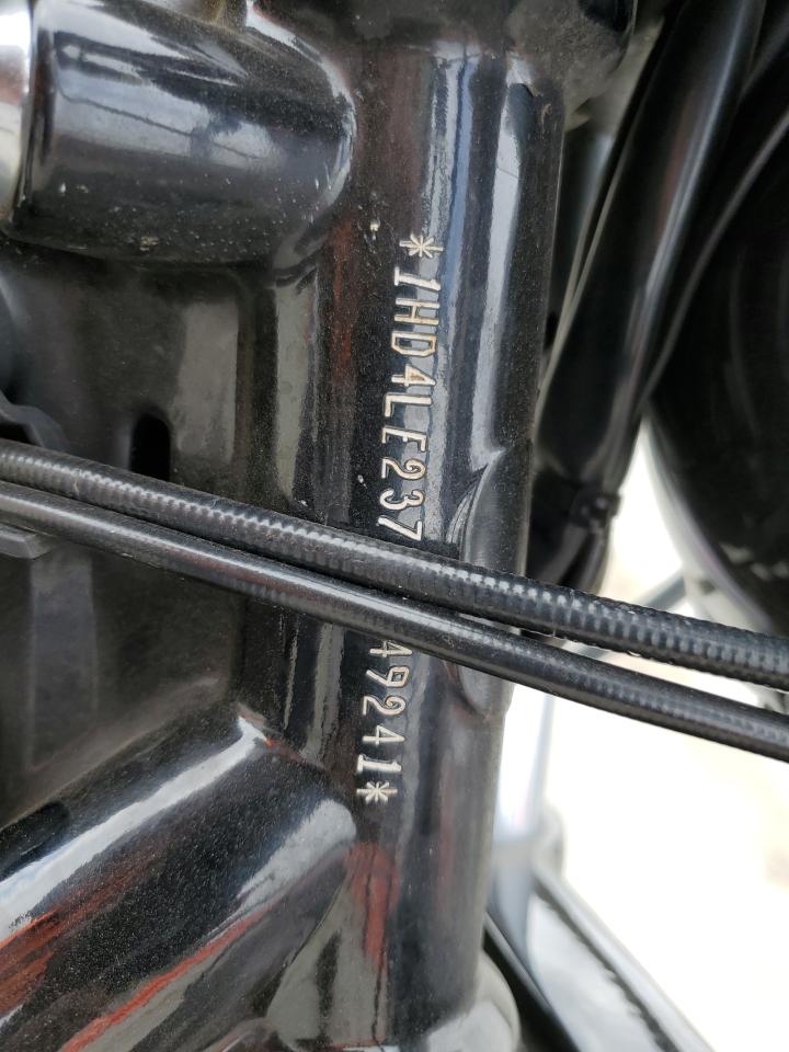 2013 Harley-Davidson Xl883 Iron 883 VIN: 1HD4LE237DC449241 Lot: 84413475