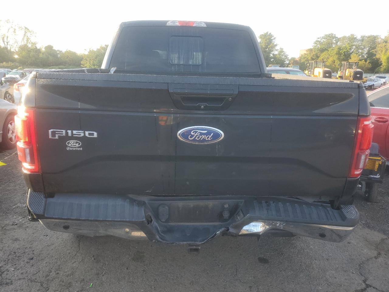 2016 Ford F150 Supercrew VIN: 1FTEW1EG8GFB29109 Lot: 81764925