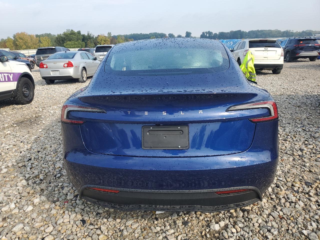 2025 Tesla Model 3 VIN: 5YJ3E1EA2SF068309 Lot: 81709915