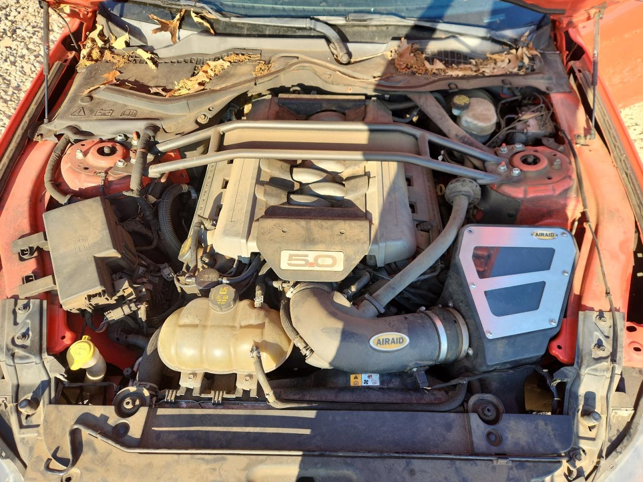 2015 Ford Mustang Gt VIN: 1FA6P8CF4F5316572 Lot: 81869025