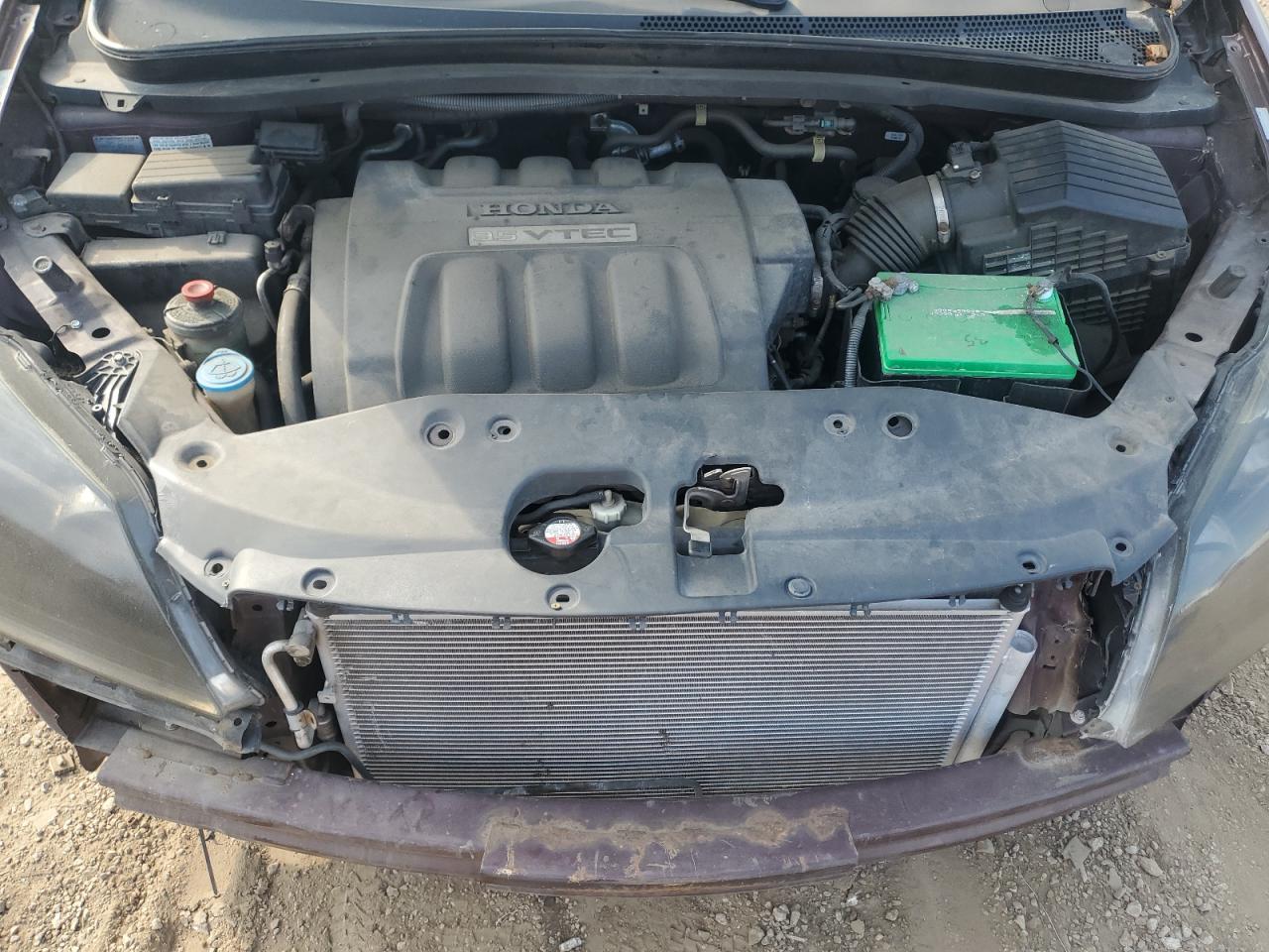 2008 Honda Odyssey VIN: 5FNRL38467B040375 Lot: 71328665