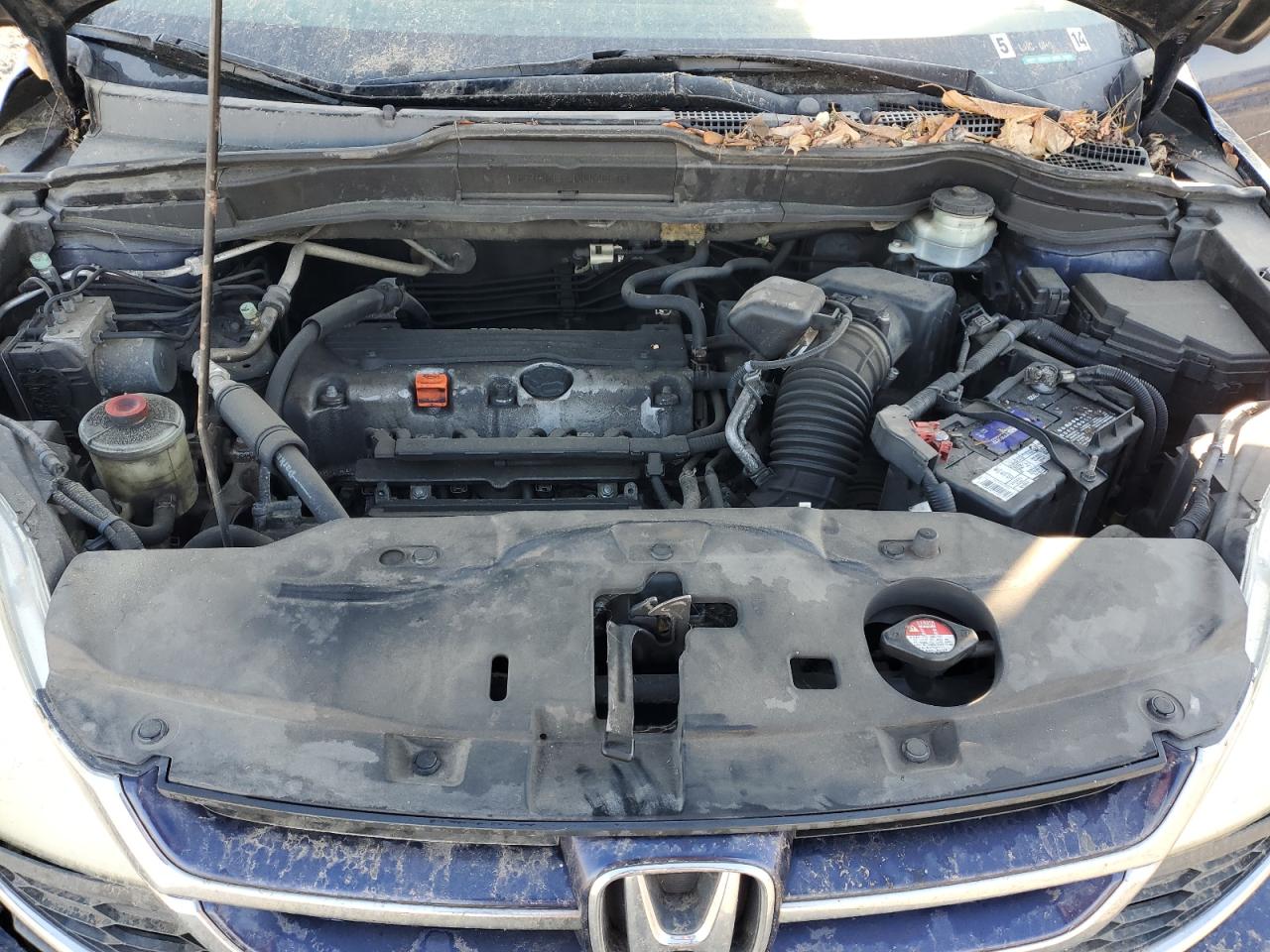 2010 Honda Cr-V Exl VIN: 5J6RE4H73AL036101 Lot: 81516145