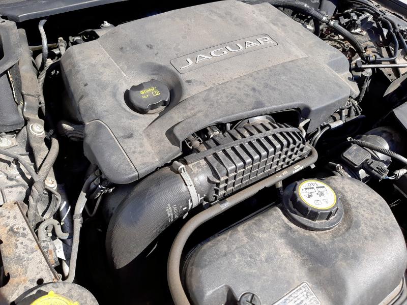 2014 JAGUAR XJ PREMIUM LUXURY V6 D AU 3.0D V6 PREMIUM LUXURY 4DR AUTO [