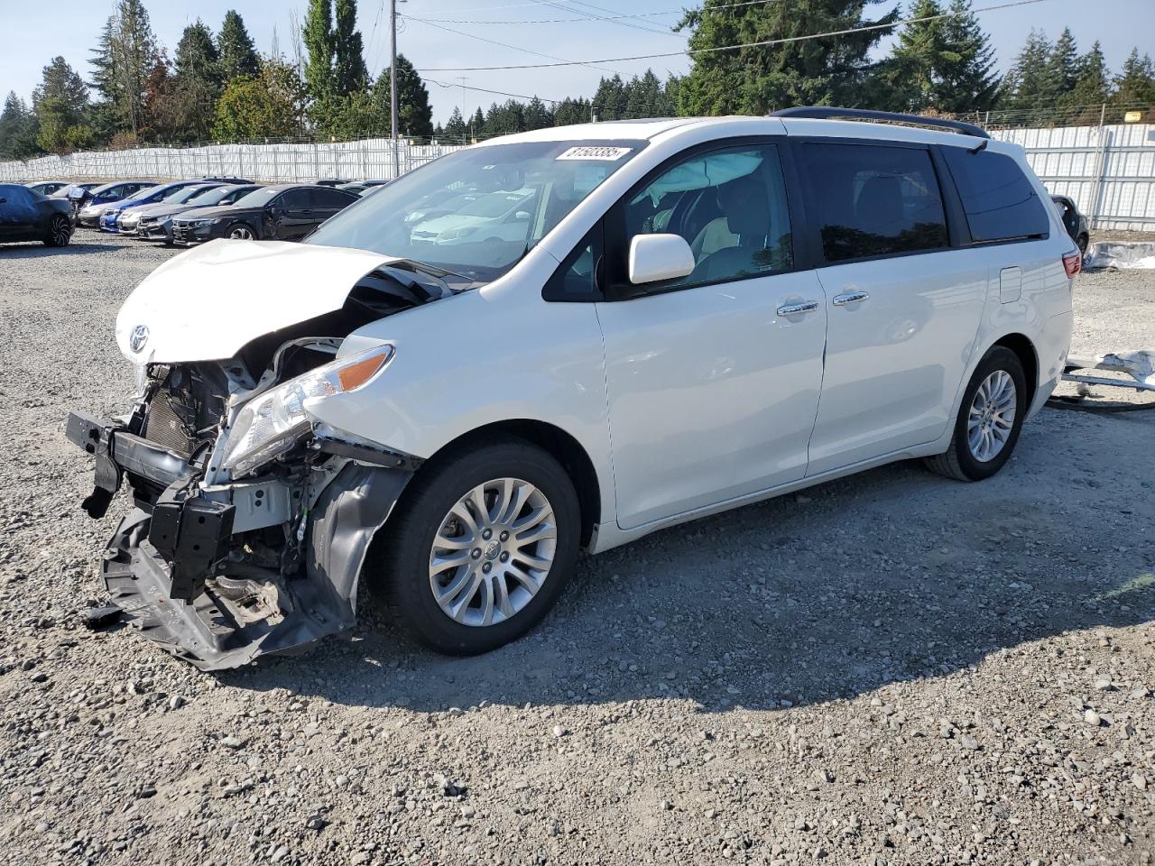 2017 Toyota Sienna Xle VIN: 5TDYZ3DC5HS895282 Lot: 81503385