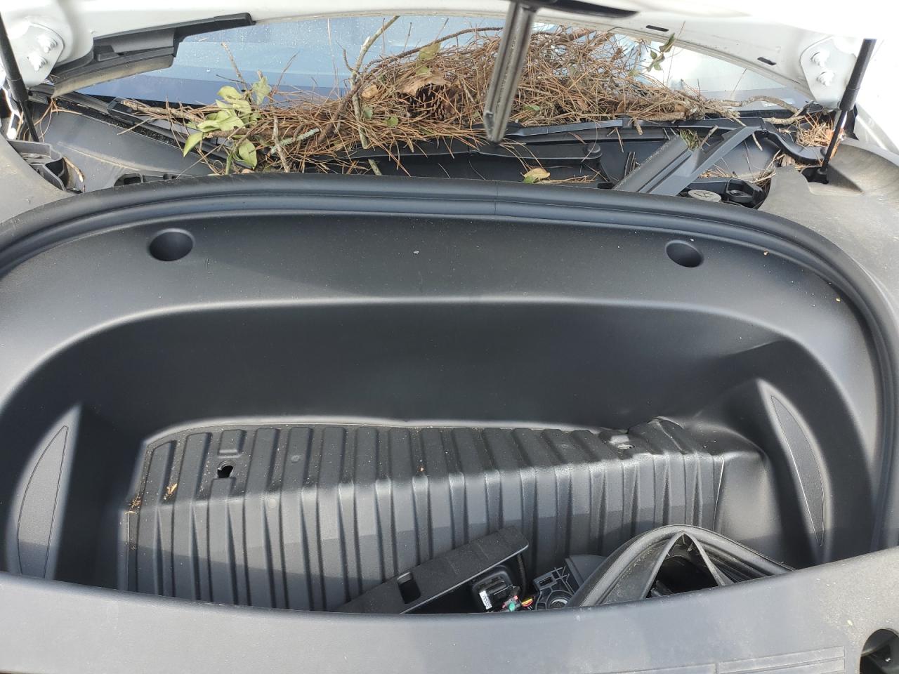 2023 Tesla Model 3 VIN: 5YJ3E1EB9PF632327 Lot: 81693475