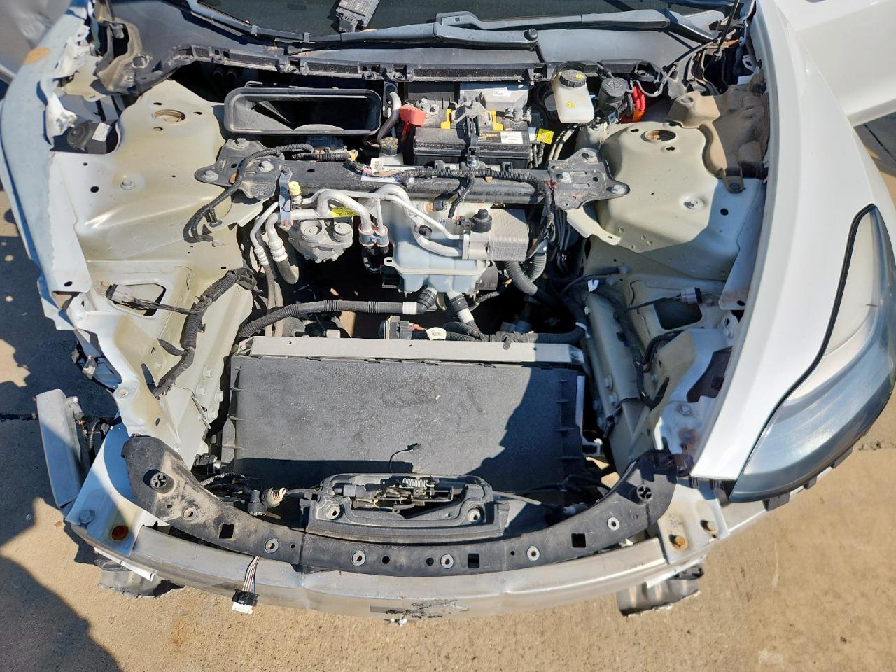 2020 Tesla Model 3 VIN: 5YJ3E1EA4LF597794 Lot: 83844175