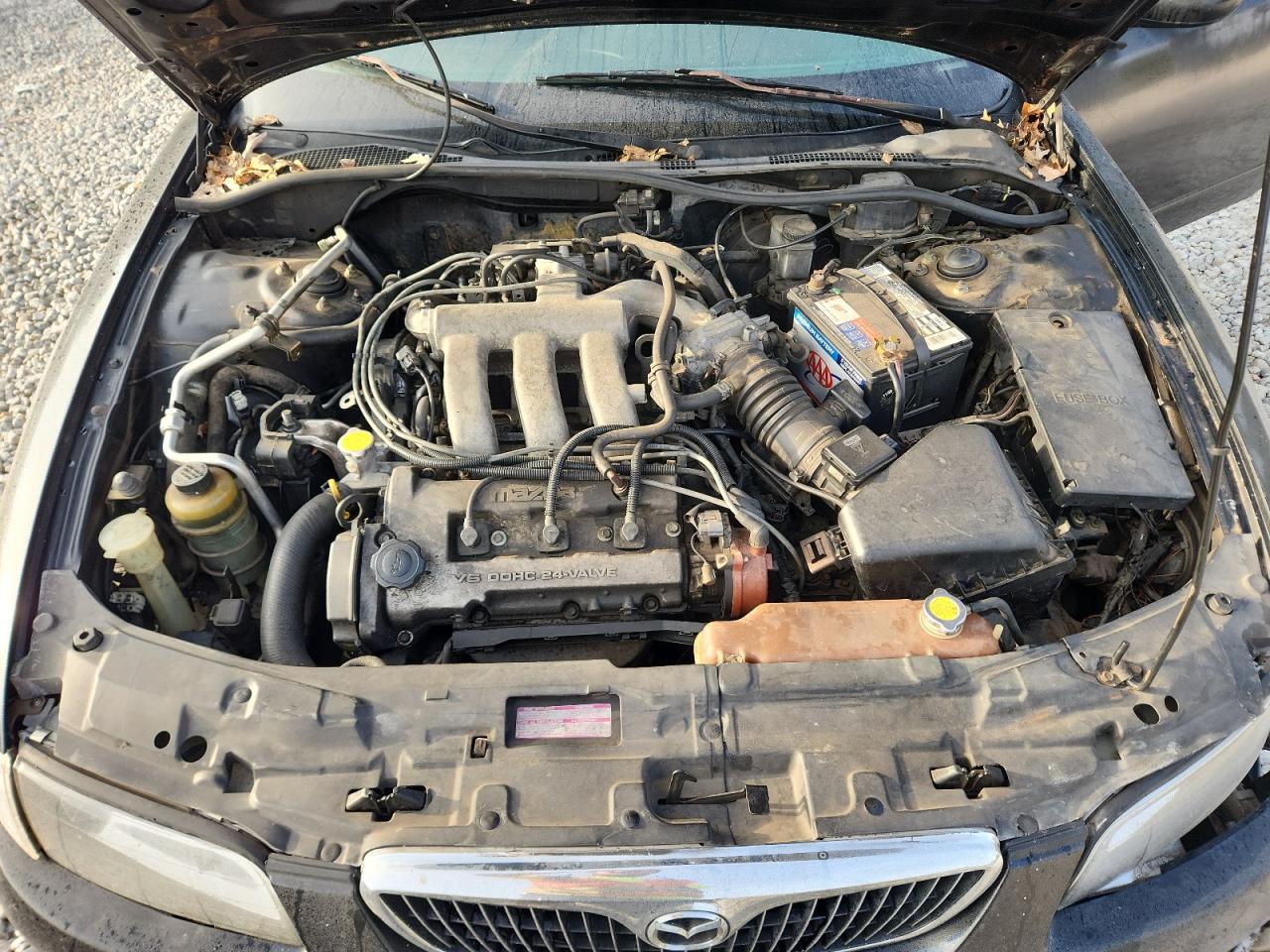 1999 Mazda Millenia VIN: JM1TA2212X1512858 Lot: 81407755