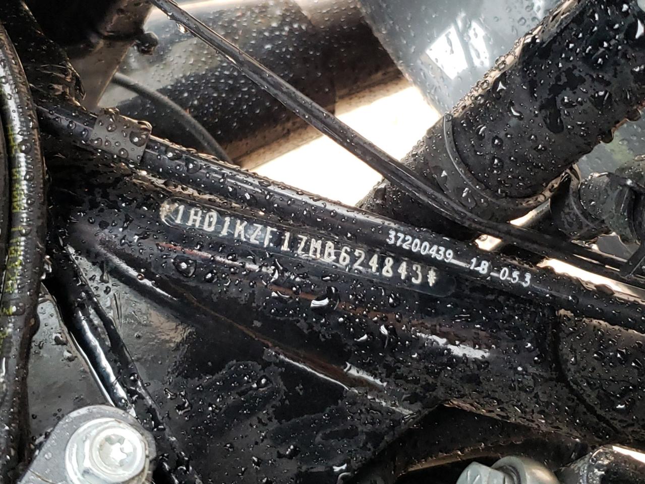 2021 Harley-Davidson Fltrk VIN: 1HD1KZF17MB624843 Lot: 84380775