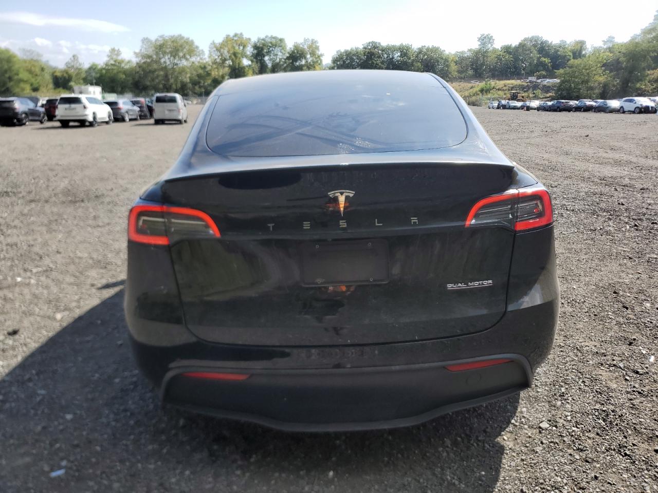 2022 Tesla Model Y VIN: 7SAYGDEF0NF443344 Lot: 81414985