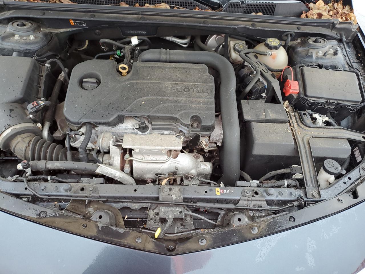 2020 Chevrolet Malibu Ls VIN: 1G1ZB5ST8LF023042 Lot: 80352845