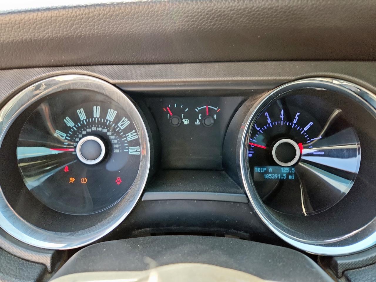2013 Ford Mustang VIN: 1ZVBP8AM8D5253755 Lot: 81881415