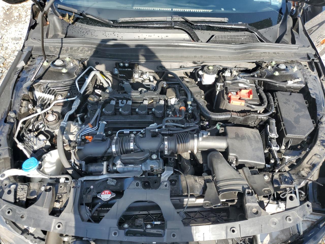 2022 Honda Accord Exl VIN: 1HGCV1F56NA031442 Lot: 80859485