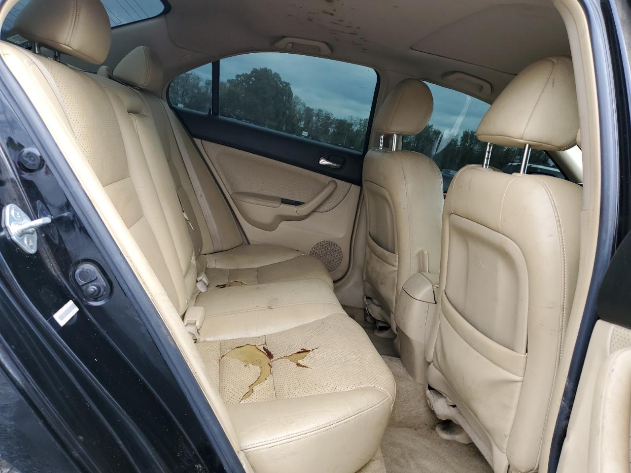 2007 Acura Tsx VIN: JH4CL96977C021059 Lot: 81901875