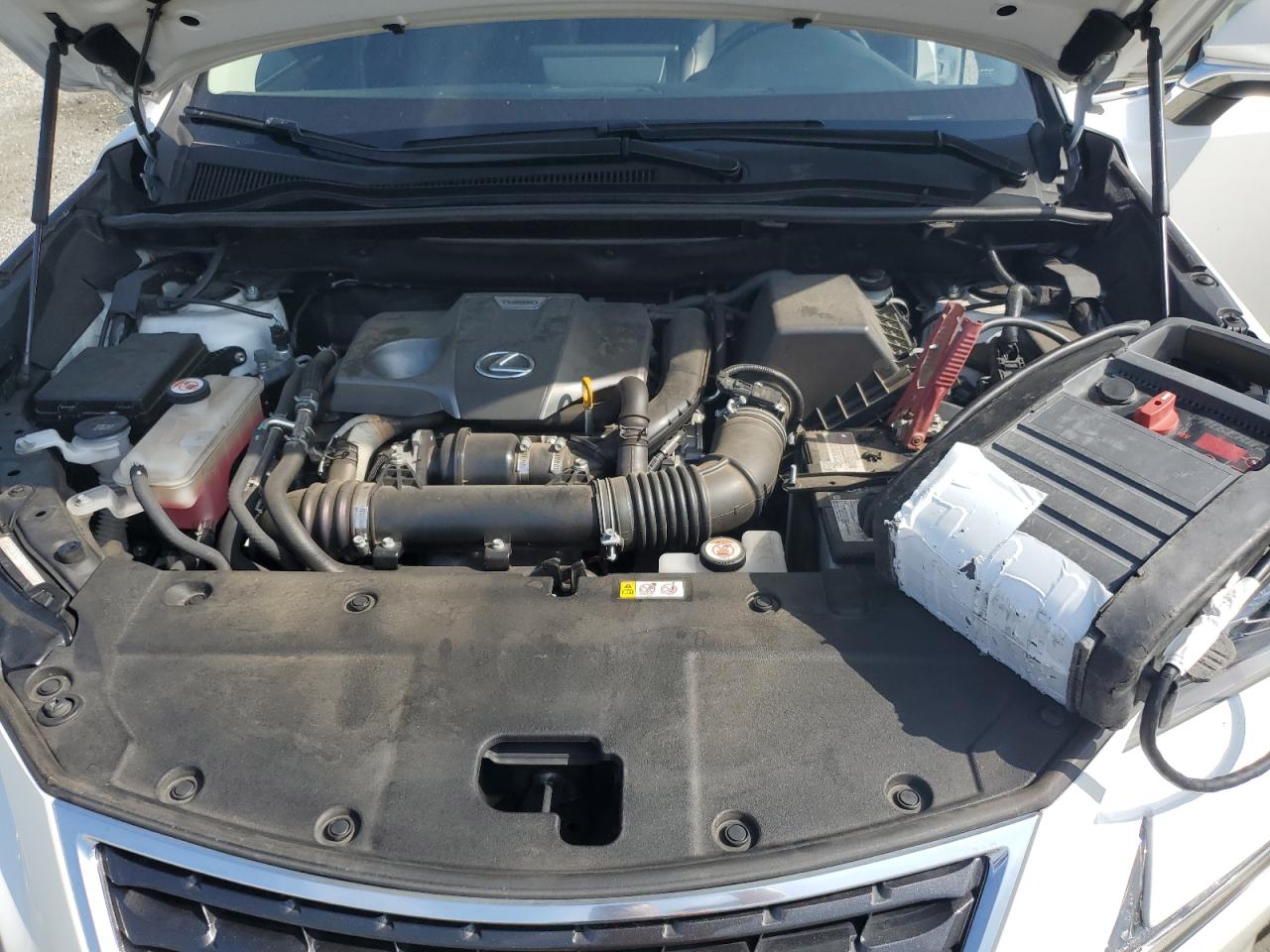 2020 Lexus Nx 300 VIN: JTJGARBZ3L5015916 Lot: 80486165