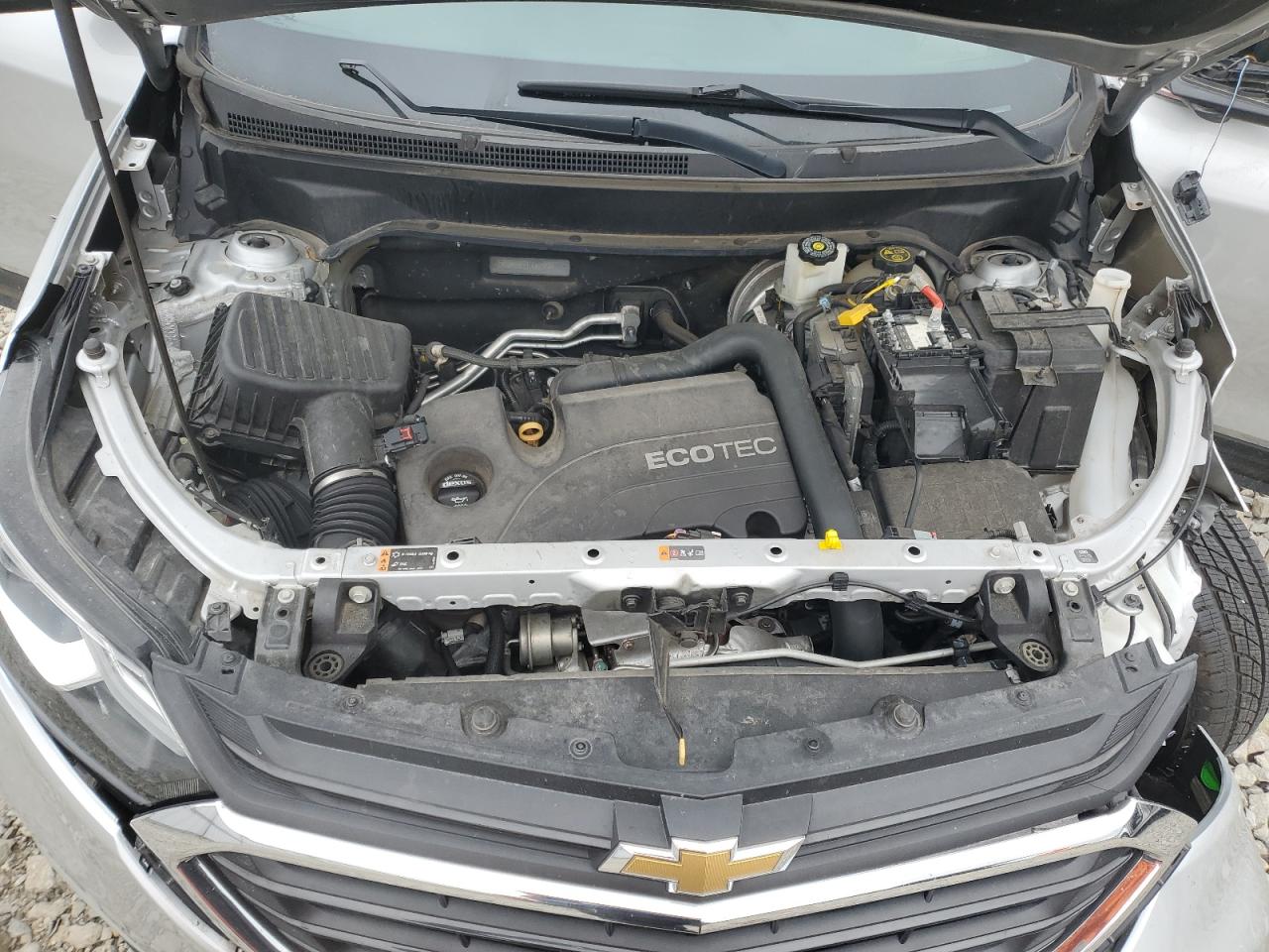 2018 Chevrolet Equinox Lt VIN: 2GNAXJEV3J6113273 Lot: 81633455