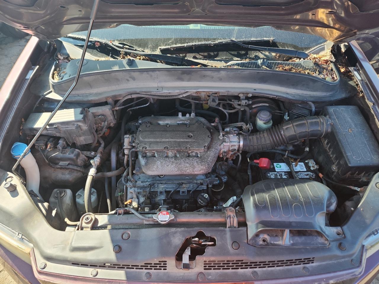 2008 Honda Ridgeline Rtl VIN: 2HJYK16508H542224 Lot: 71389715