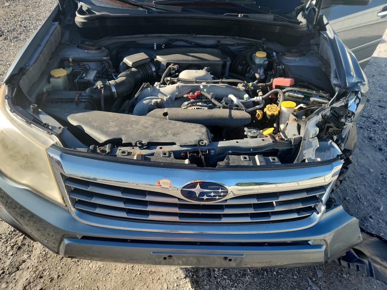 2010 Subaru Forester 2.5X Limited VIN: JF2SH6DC4AH726148 Lot: 84026765