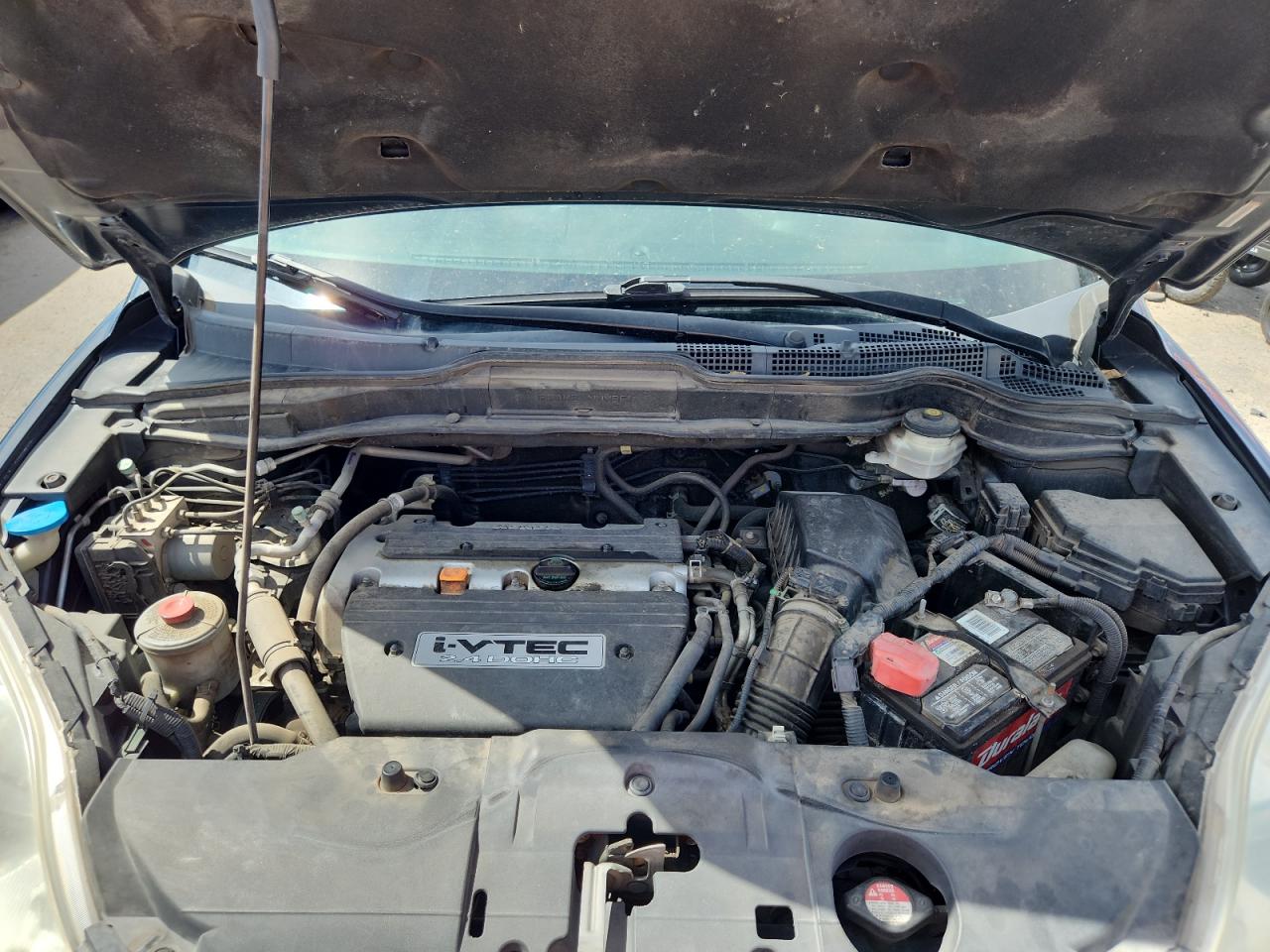 2008 Honda Cr-V Exl VIN: JHLRE38788C044028 Lot: 81513615